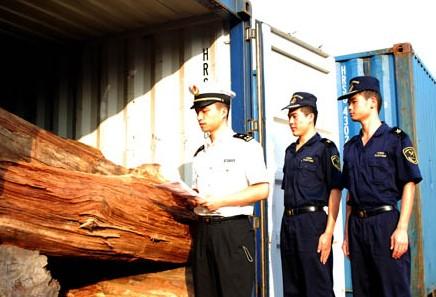 上海进口木材报关的费用图片
