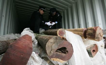 上海进口木材报关的基本资料