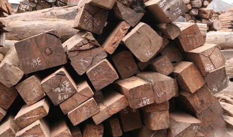 上海进口木材通关需要提供什么文件批发