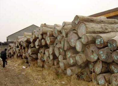 木材进口清关如何操作费用有哪些