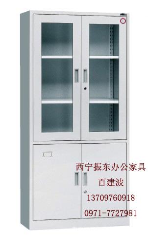 供应西宁振东办公文件柜专业优质资料柜玻璃展示柜医用器械柜厂家直销