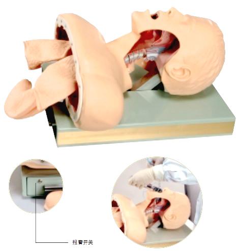 供应高级人体气管插管训练模型型号：J50