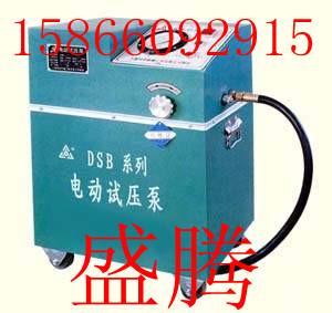供应DSB电动试压泵