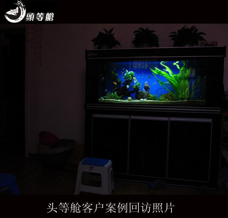 供应郑州专业清洗鱼缸鱼缸护理保养