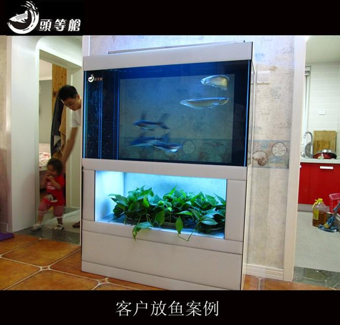 郑州专业鱼缸过滤器改造鱼缸清洗批发