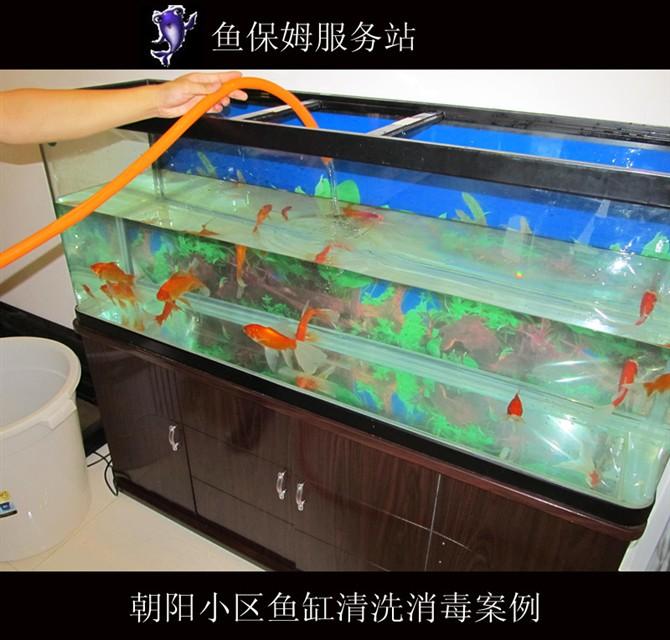 供应郑州专业清洗鱼缸鱼缸定做