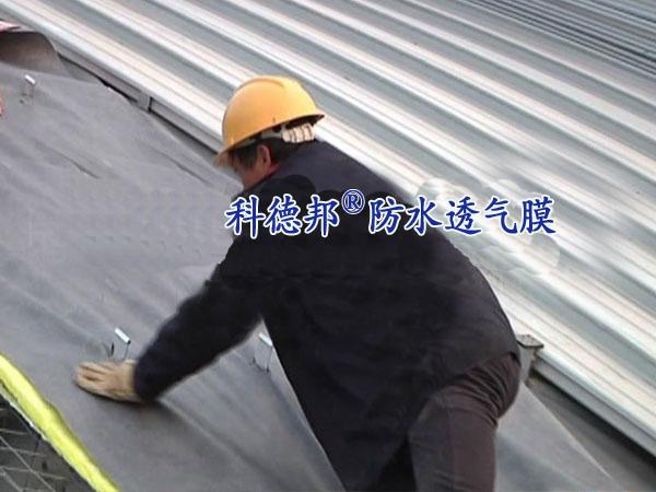 供应金属屋面防水透气膜