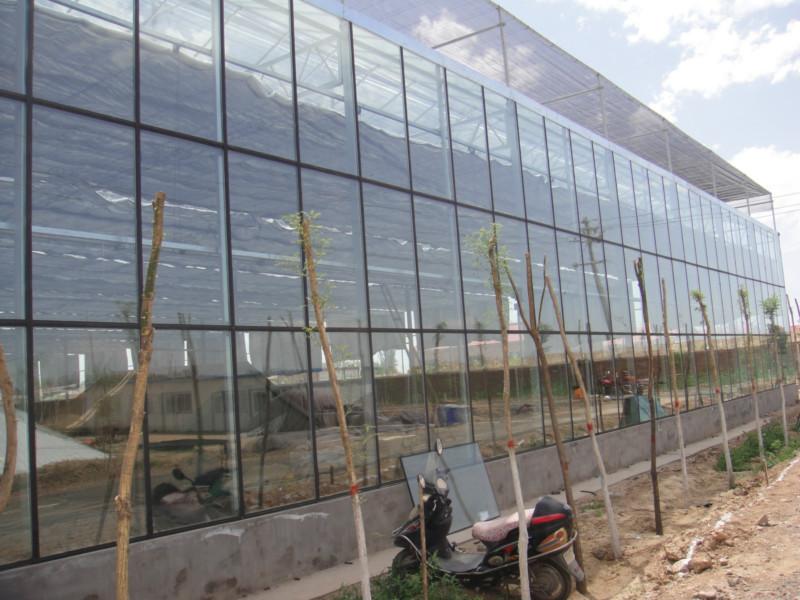 合肥市玻璃温室多少钱一平方厂家