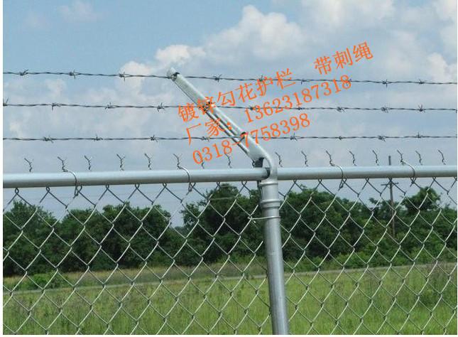 衡水市勾花护栏网厂家供应优质的勾花护栏网（体育场围网）