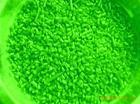 PE绿色再生料，纯LDPE特级料 可吹膜可注塑