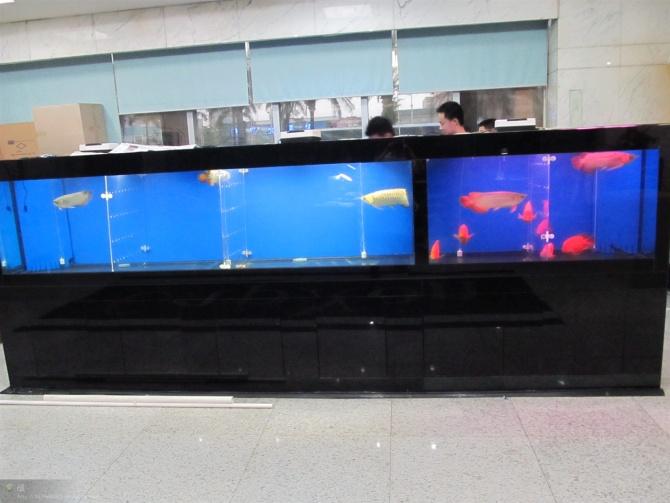 广州海鲜池鱼缸设计制作供应广州海鲜池鱼缸设计制作 承接大型水族工程 厂家直销