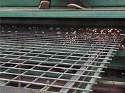 供应苗床电焊网/装饰电焊网/养殖电焊网/厂家大量生产