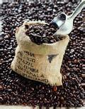 供应印尼咖啡进口报关行