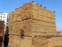 供应木材进口需不需要办理濒危物种证