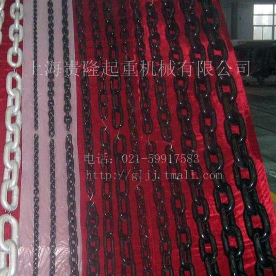 供应起重链条的报价上海优质起重链条供应商上海贵隆起重链条报废条件图片
