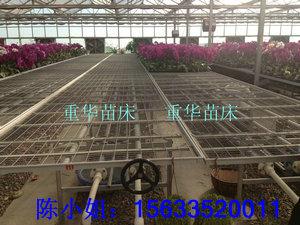 移动苗床农业补贴指定厂家—安平县重华苗床网厂图片