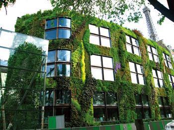 东莞草坪花木、私人庭院绿化、屋顶绿化、楼顶花园、绿化造型....