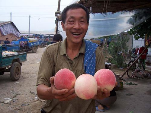 出售大量鲜桃：桃中之王红岗山8月上市，火爆销售中