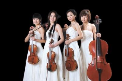 北京最便宜的女子动感弦乐？