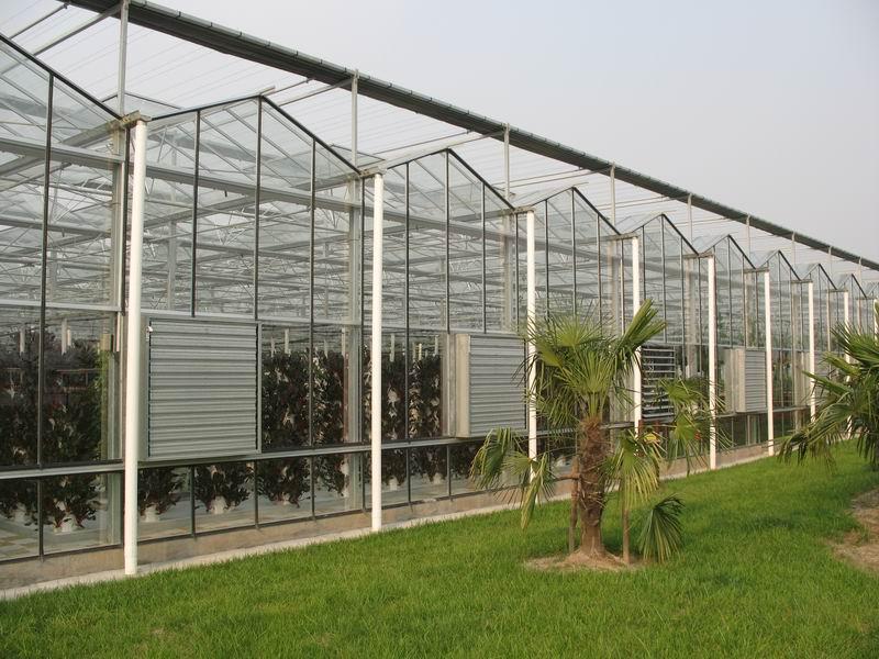 玻璃温室供应玻璃温室