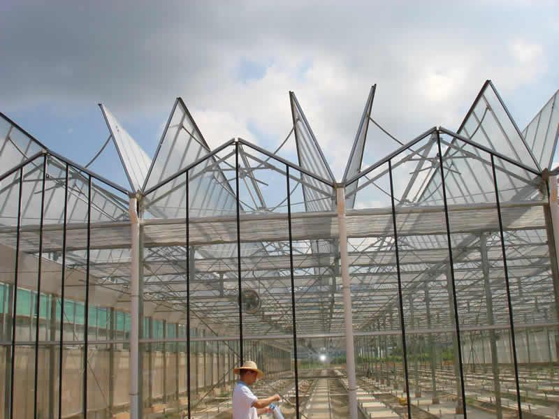 深圳市玻璃温室厂家供应玻璃温室
