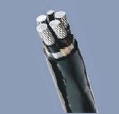 供应合金电线电缆陕西铝合金电缆图片