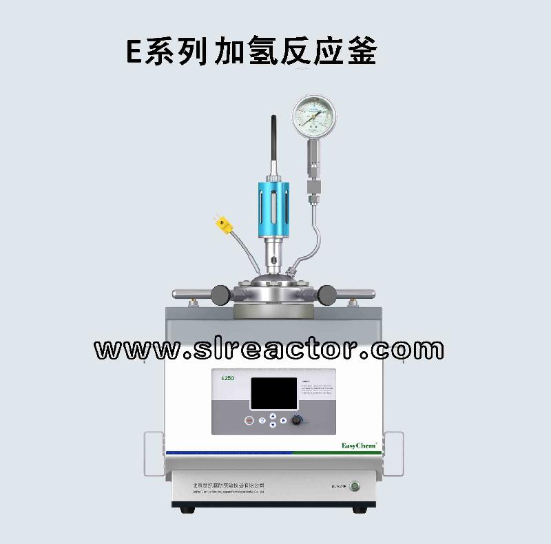 供应北京E50微型高压反应釜