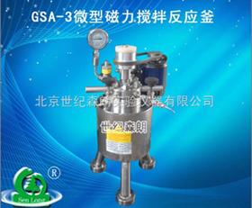 供应江苏GSA-3微型磁力高压反应釜