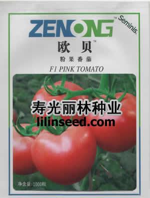 供应欧贝番茄种子-欧贝西红柿种子图片