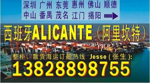 供应深圳广州到西班牙ALICANTE阿里坎特的国际海运船务代理公司