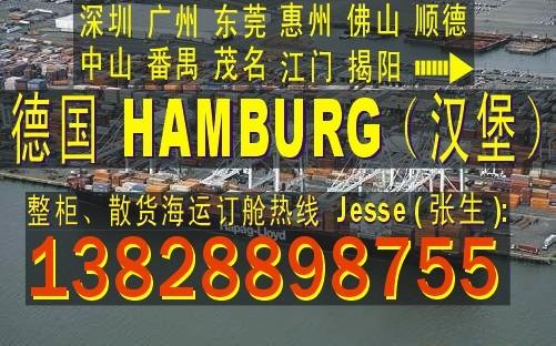 供应深圳广州东莞中山到德国HAMBURG汉堡的国际海运物流公司图片