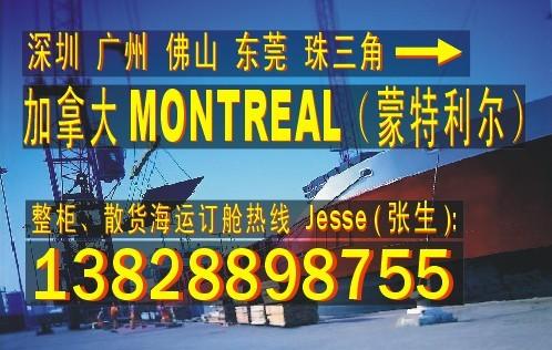 供应深圳广州 中山东莞到加拿大多伦多TORONTO的国际海运船务公司