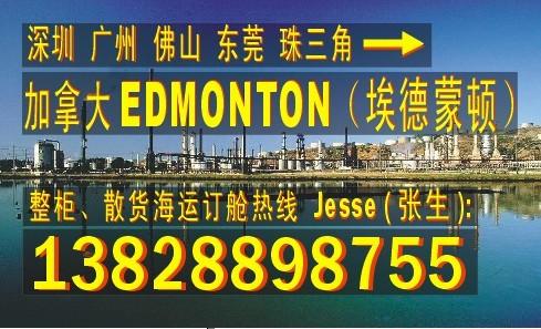 供应深圳广州 东莞到加拿大埃德蒙顿EDMONTON的国际船运物流公司