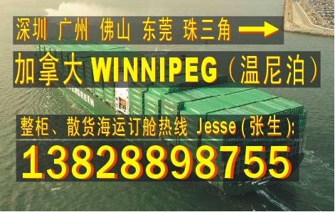 供应深圳广州 东莞到加拿大温尼泊WINNIPEG的国际货运物流公司