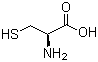 供应L-半胱氨酸