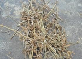 菏泽市豆秸粉价格厂家
