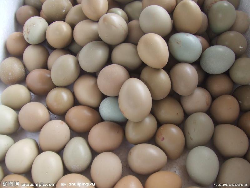 供应徐州那里有野鸡蛋的，徐州哪里有卖野鸡蛋的