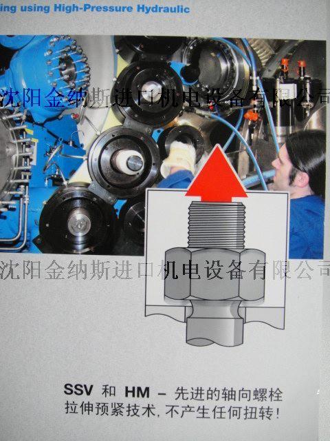 供应德国萨尔福液压螺母 超高压电动泵 超高压手动泵 拉伸器