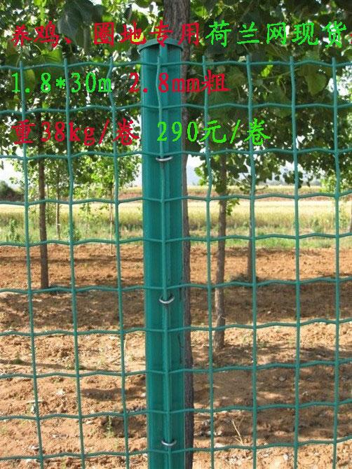 厂家直销绿色电焊网围栏浸塑铁丝网批发