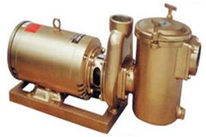 安浦BP铜泵系列水处理过滤铜泵批发