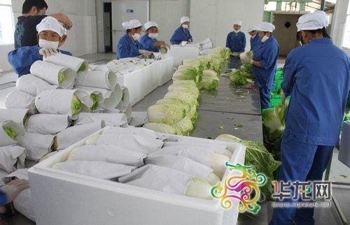 供应水果蔬菜包装纸，水果专用包装纸，上海供应蔬菜专用包装纸，雪梨纸