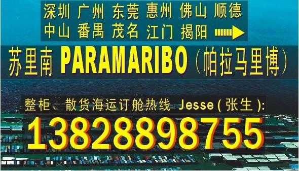 供应深圳东莞广州到苏里南PARAMARIBO帕拉马里博的国际海运公司