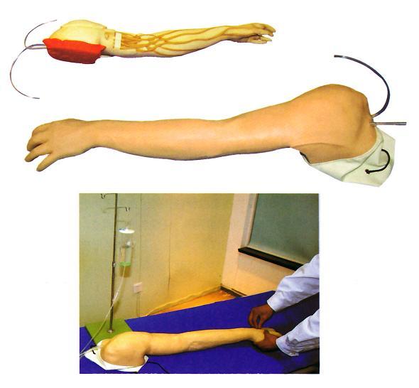 供应输液手臂模型,全功能完整静脉穿刺及注射训练手臂模型