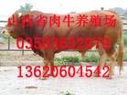 山西省忻州市忻府区畜牧局奶牛肉牛养殖场