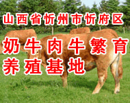 山西省忻州市忻府区畜牧局奶牛肉牛养殖场