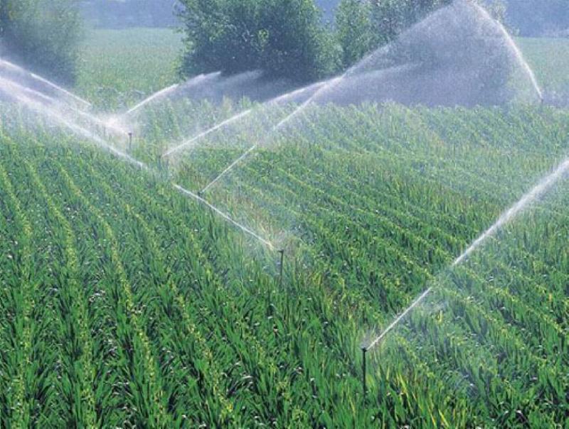 供应大田喷灌设备大田灌溉设备大田节水灌溉设备图片