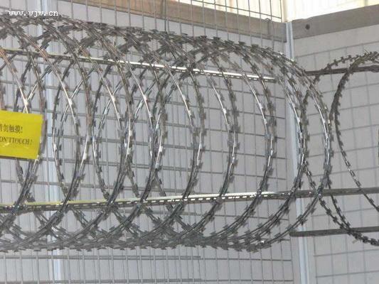供应监狱用刀片刺网防护网图片