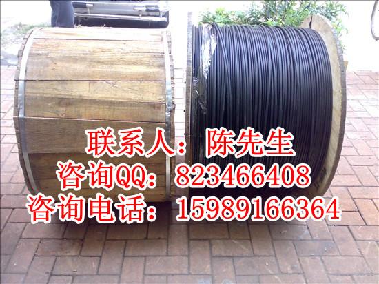供应广州室外12芯光缆，8芯光缆，24芯光缆，GYTA光缆价格图片