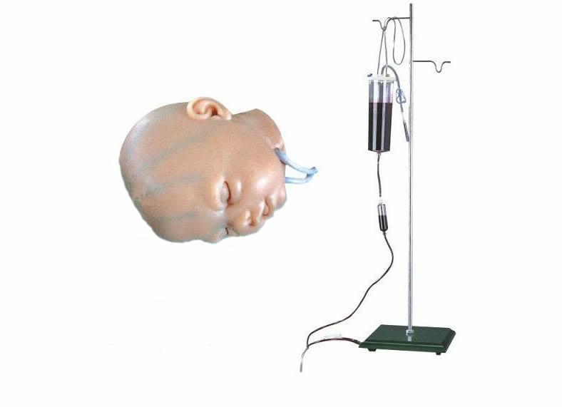广州婴儿头部双侧静脉注射穿刺模型批发