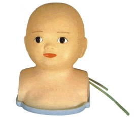 山东婴儿头部综合静脉穿刺模型批发